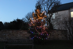 Fen Ditton Christmas Tree 001